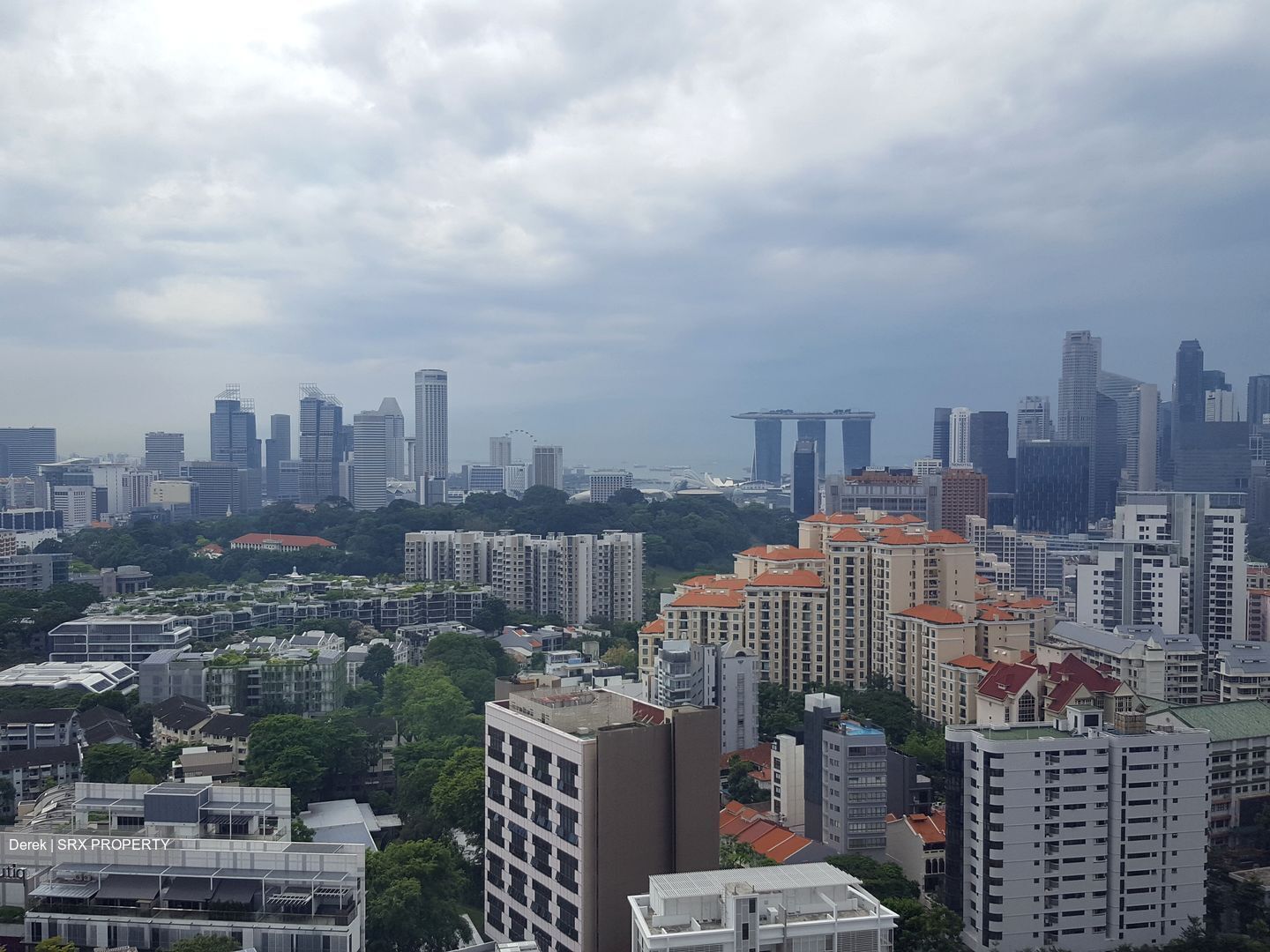 Skyline 360 @ Saint Thomas Walk (D9), Condominium #634737931